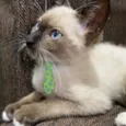 Júlio 