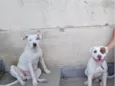 Rhaj e Rhanna