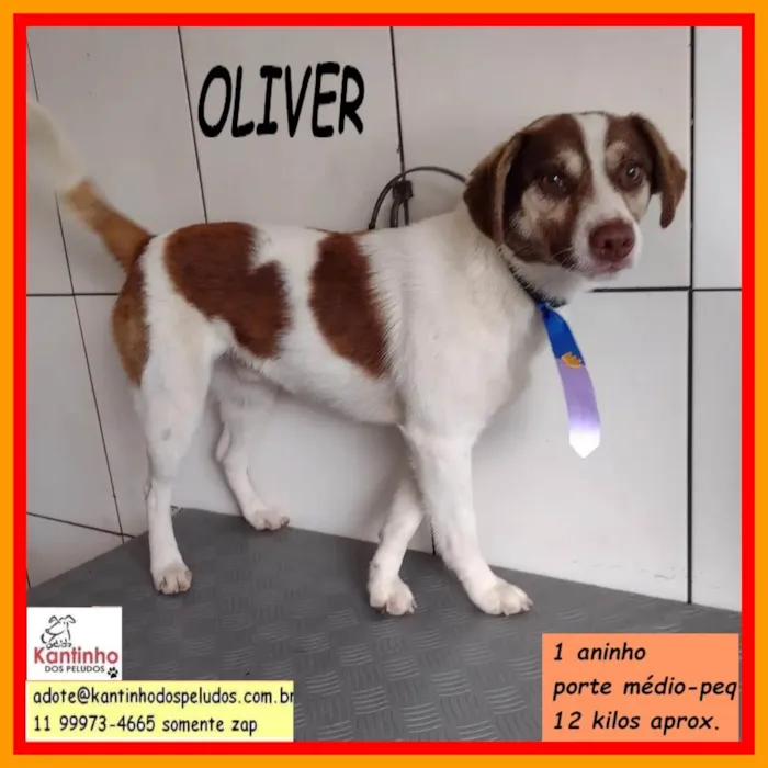 Oliver 