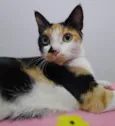 OLIVIAH