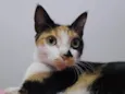 OLIVIAH
