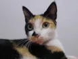 OLIVIAH