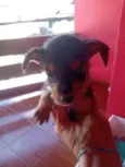 Não tem