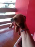 Não tem