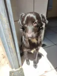 CAJU