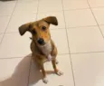 Céu