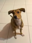 Céu