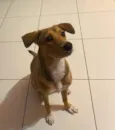Céu