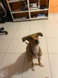 Céu
