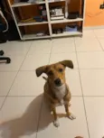 Céu