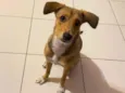 Céu