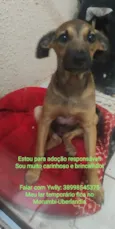 Sebastião