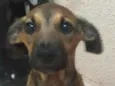 Sebastião