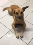 DORINHA