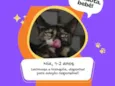 Nya