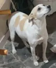 Tequila