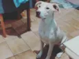 akyra