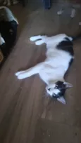 Léo 