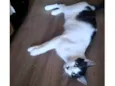 Léo 