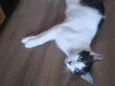 Léo 