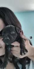 TOBHIAS , José , thoby , Luna , e Mathias 