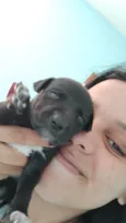 TOBHIAS , José , thoby , Luna , e Mathias 