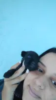 TOBHIAS , José , thoby , Luna , e Mathias 