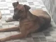 JULIE