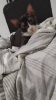 Maya e Theo