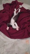 Maya e Theo
