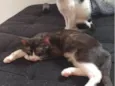 Maya e Theo