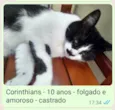 Corinthians