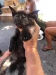 3 irmãos 