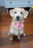 Sol
