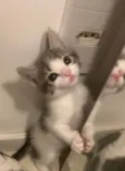 ..