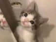 ..