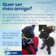 Negão 