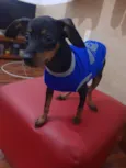 Max