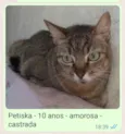 Petiska