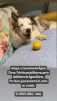 Zeca