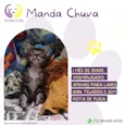 Manda chuva
