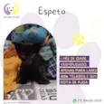 Espeto