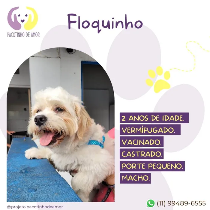 Floquinho