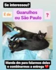 Mamacita e Pretin