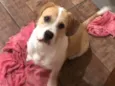 Billy