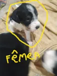 sem nomes , eles tem 30 dias