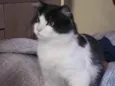 Bebê 