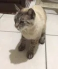 Neo