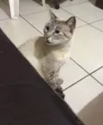Neo