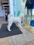 Não sei